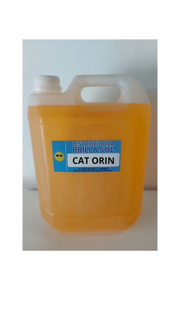 CAT_ ORIN AHUYENTA GATOS