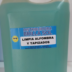 LIMPIA ALFOMBRA Y TAPIZADOS