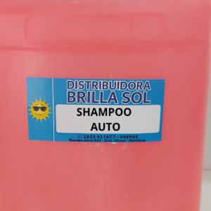 SHAMPOO AUTO